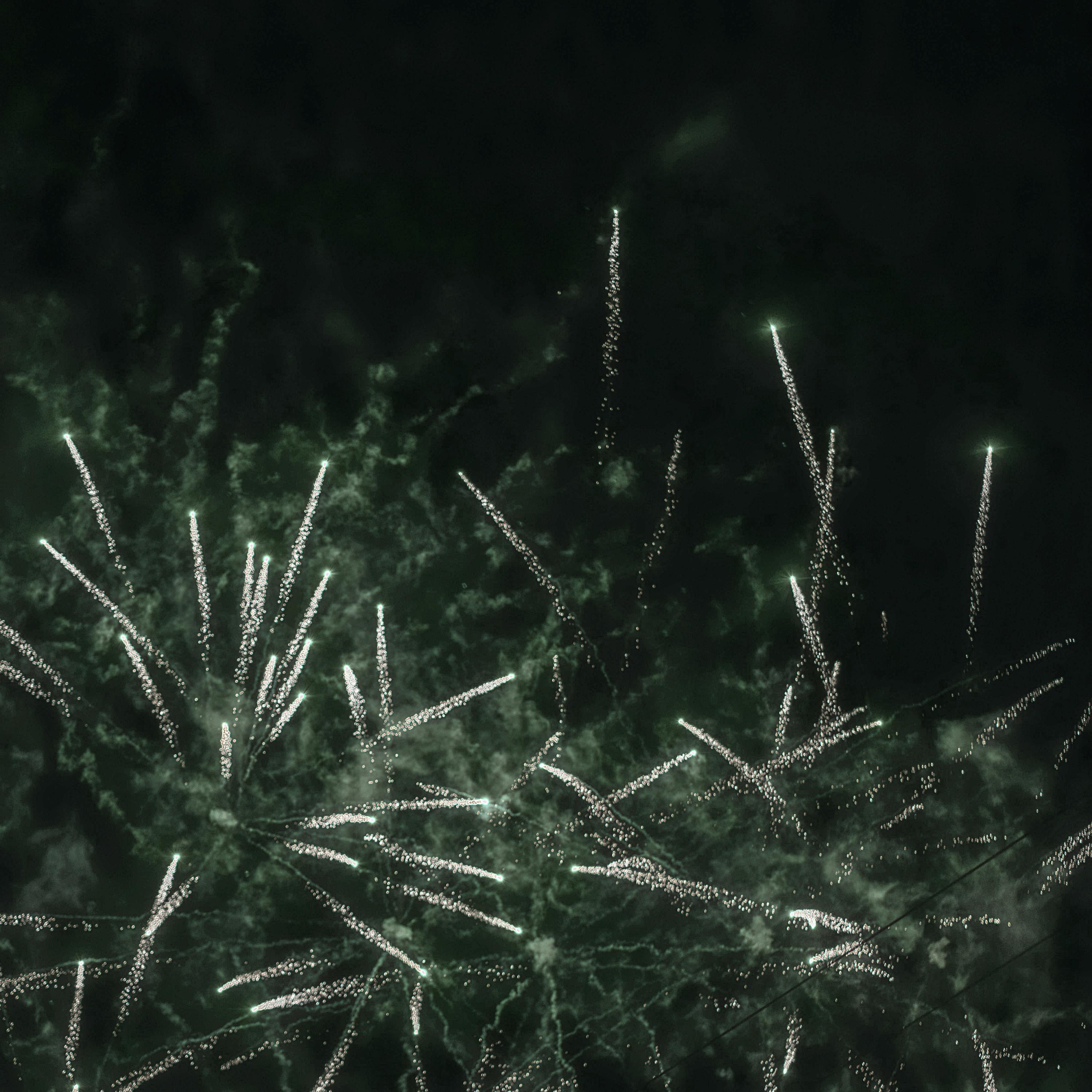 二月的煙火 banner