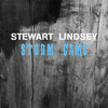 Dave Stewart - Storm Came