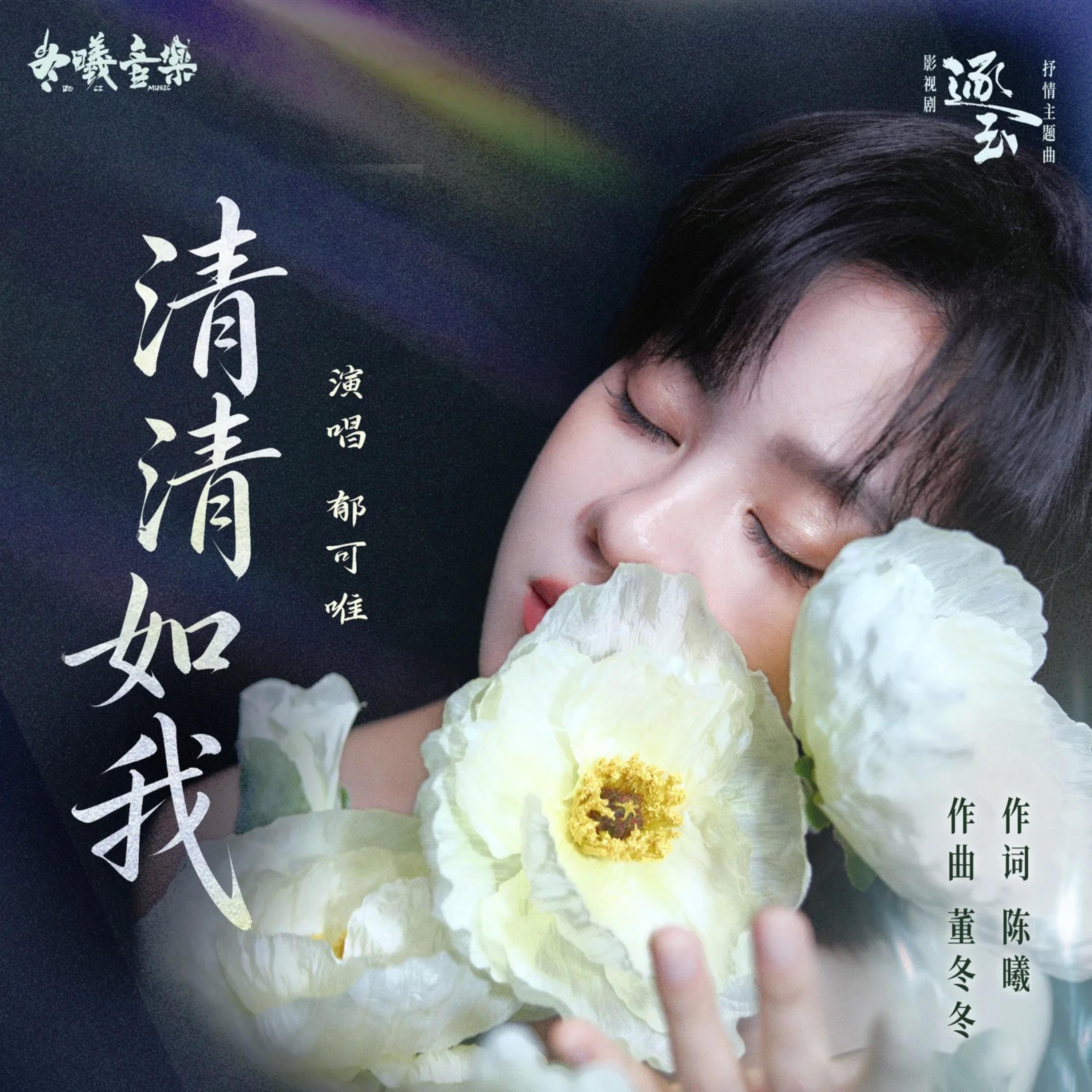 清清如我《逐玉》電視劇 海報