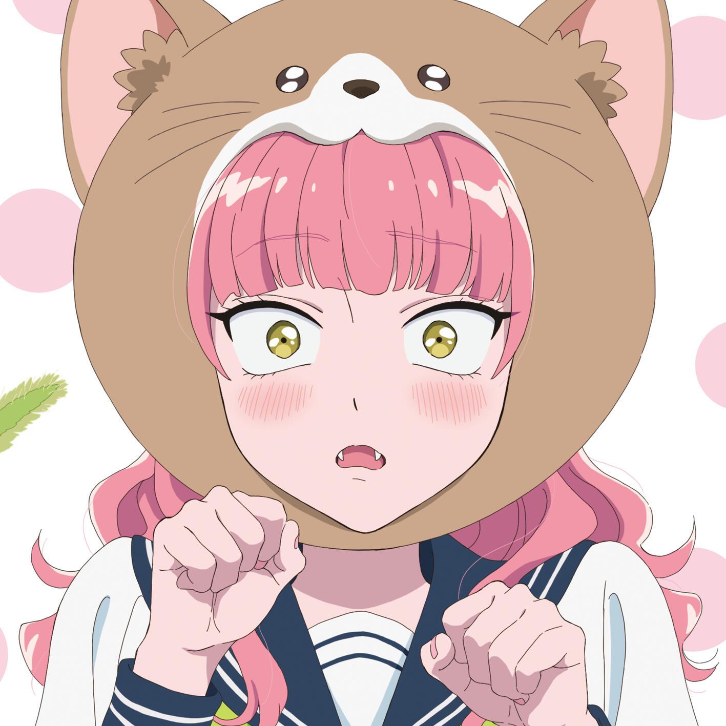 貓じゃらし banner