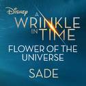 Flower of the Universe (From Disney\'s \"A Wrinkle in Time\")专辑