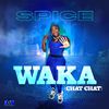 Spice - WAKA (Chat Chat)