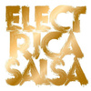 Sven Väth - Electrica Salsa (Roman Fluegel Remix)