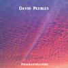 David Peebles - Fury (feat. Martin Motnik & James Knoerl)