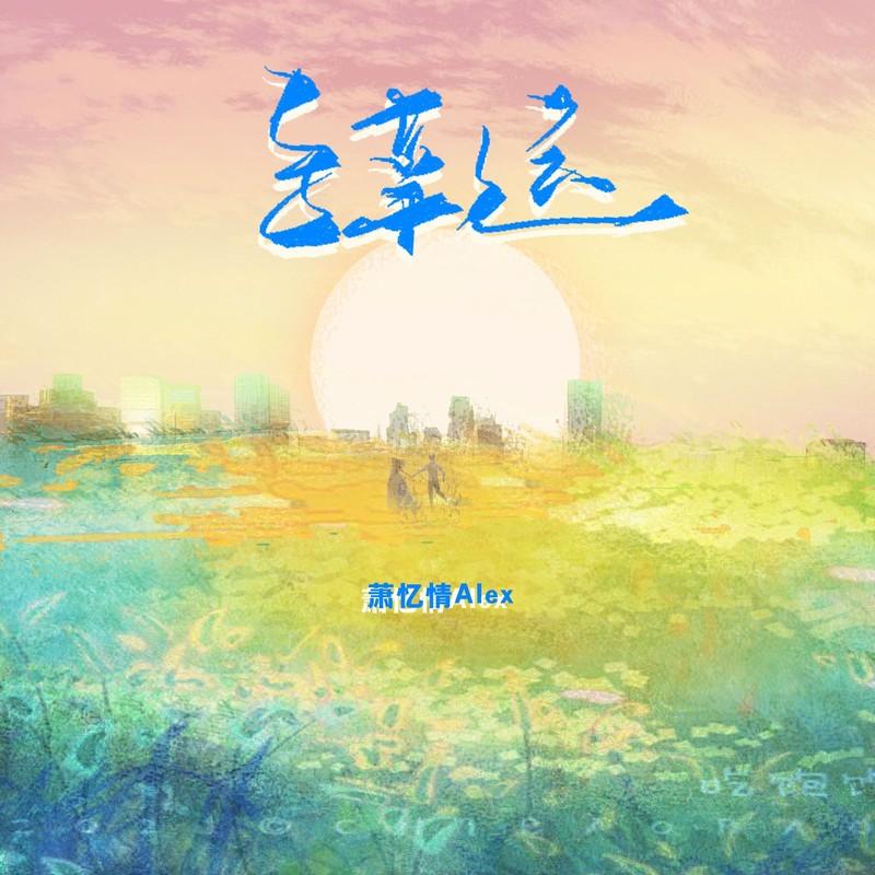 多幸运 海报