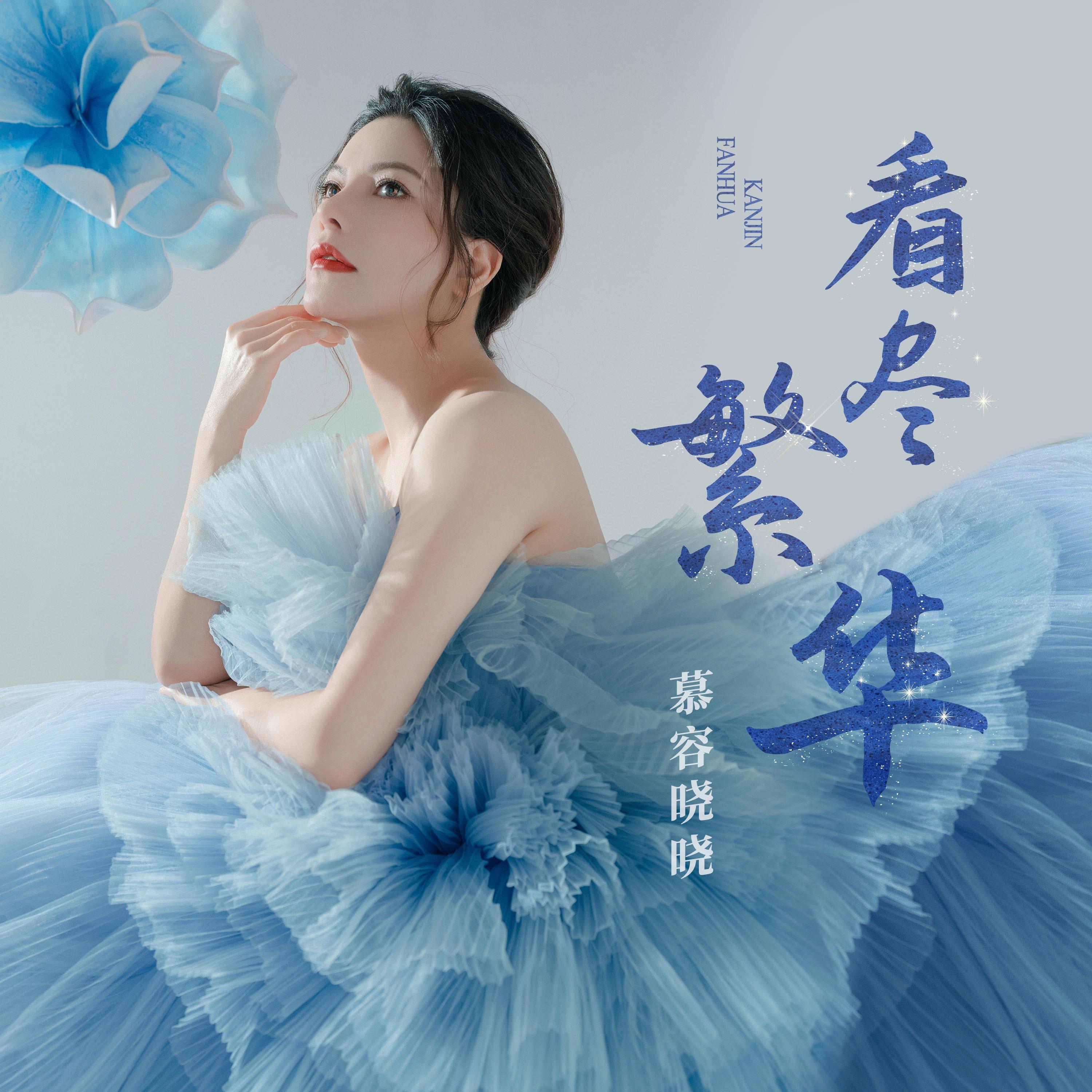 看盡繁華 海報
