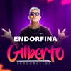 Gilberto Vasconcelos - Endorfina