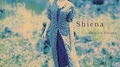 Shiena专辑