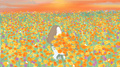 메리골드(Marigold)专辑