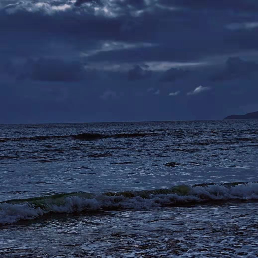 流浪 海報