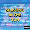 GEES - seasons in the sun ( remix）