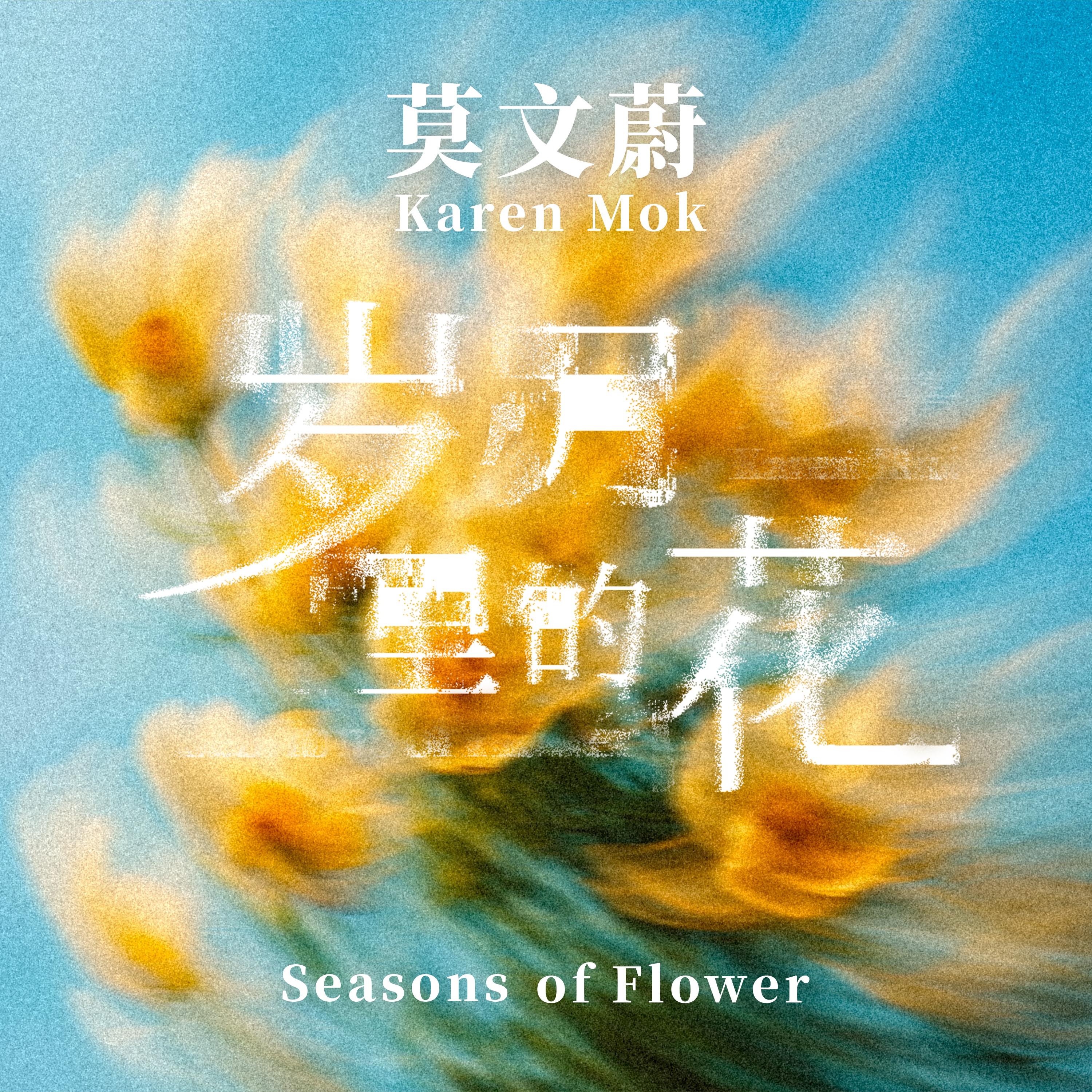 岁月里的花 海报