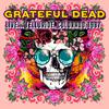 Grateful Dead - Big River (Live)