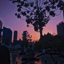 星星藏进星夜