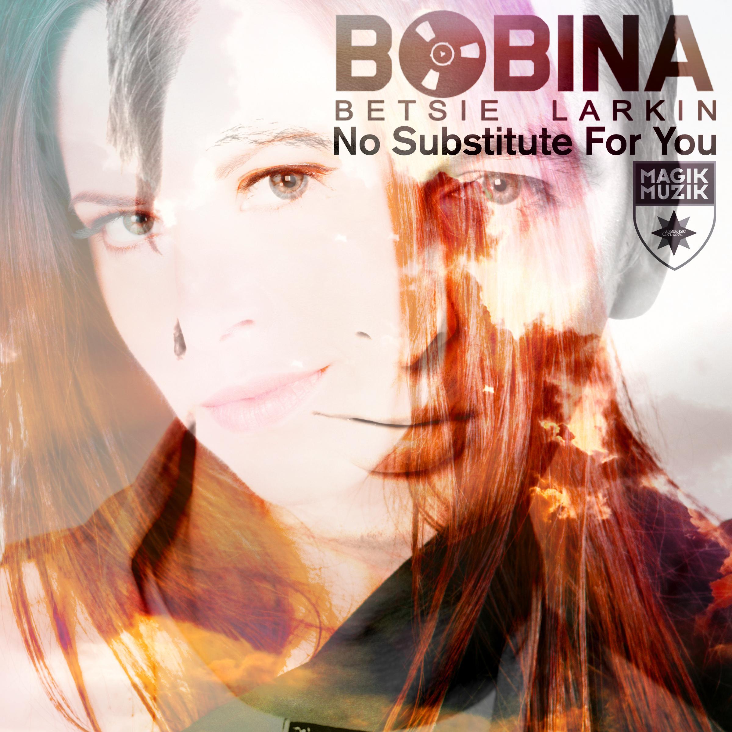 No Substitute for You [Remixes]专辑