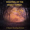 Natures Orchestra - Windy Literary Moments by the Brook