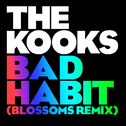 Bad Habit (Blossoms Remix)专辑