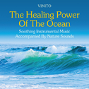 The Healing Power of the Ocean: Soothing Instrumental Music Accompanied by Nature Sounds专辑