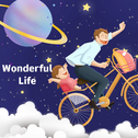 Wonderful Life专辑