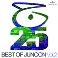 Best Of Junoon Vol. 2