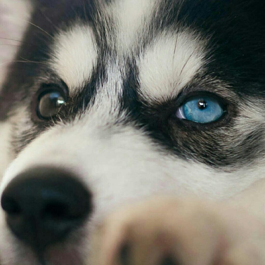 悲伤的曲子简谱分享_悲伤的曲子简谱图片下载