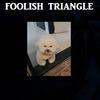 Foolish Triangle - Cat Purrs