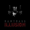 Illusion