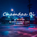 Chamdaa Bi专辑