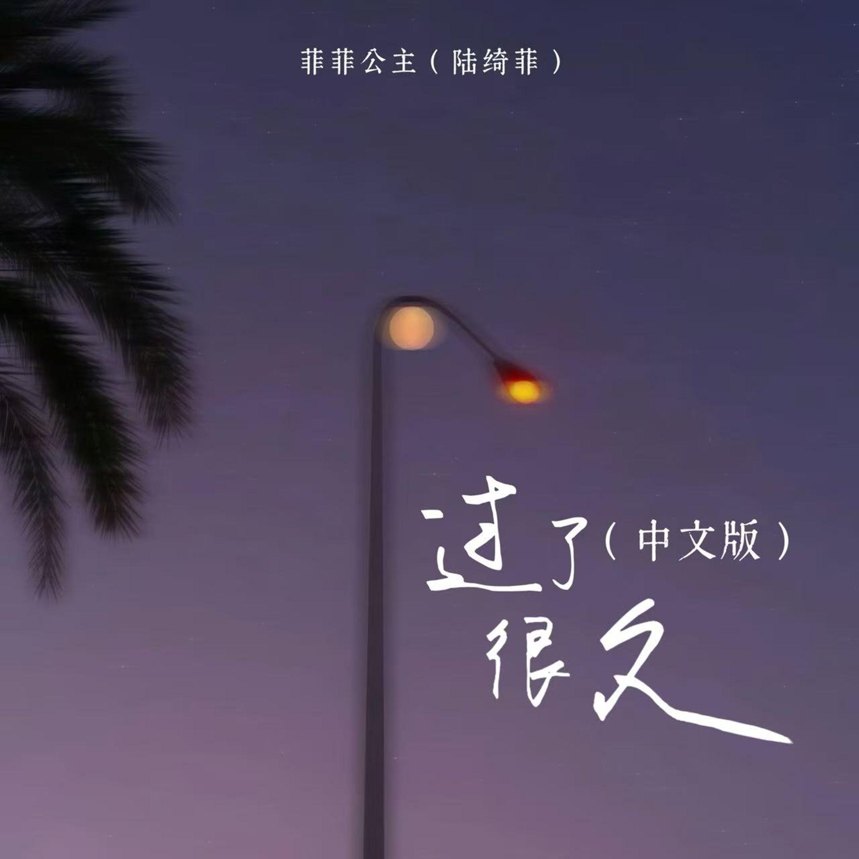 過了很久(中文版) banner