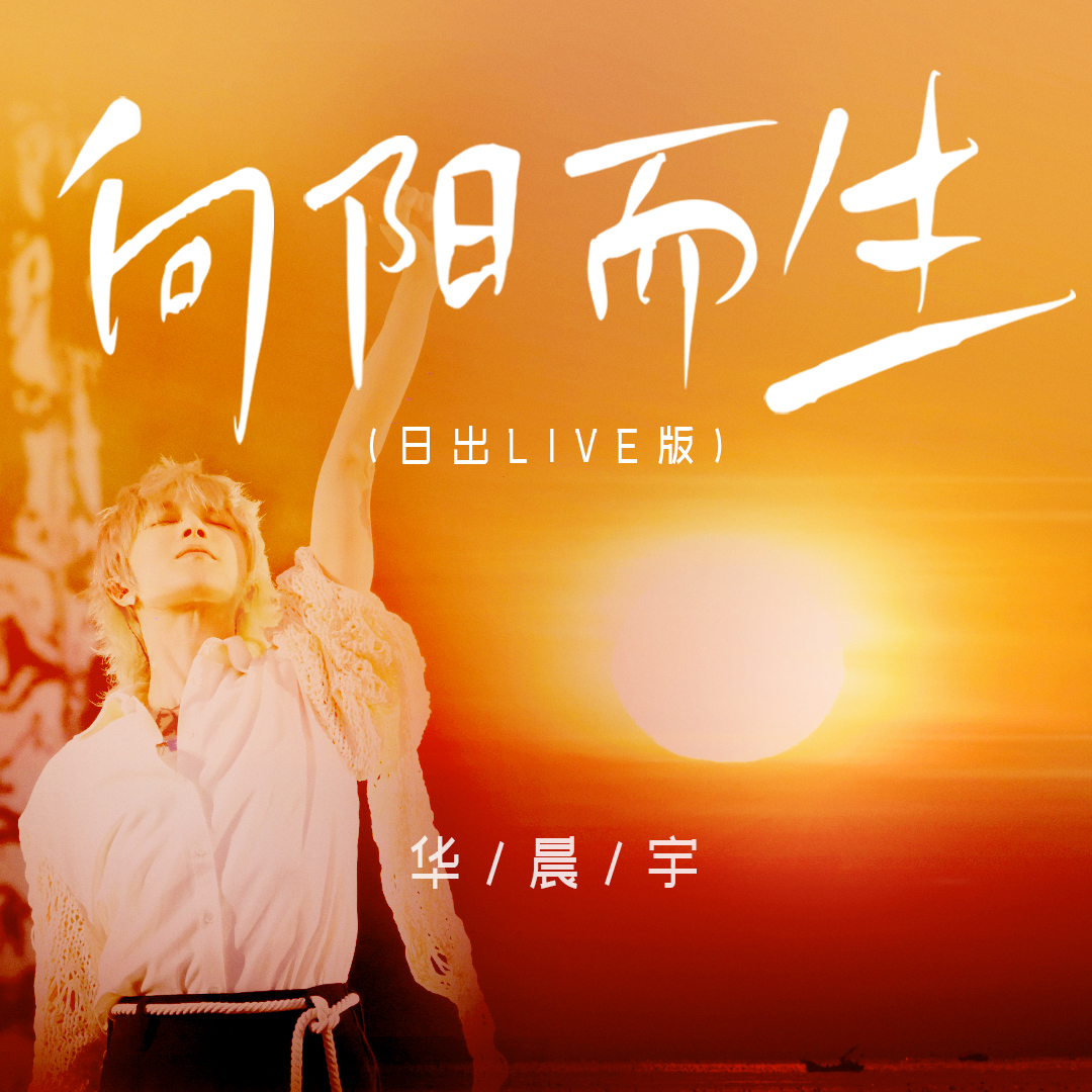向阳而生 (日出live版) 海报