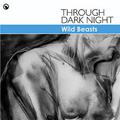 Through Dark Night