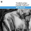Through Dark Night专辑