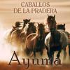 Ayuma - Caballos De La Pradera