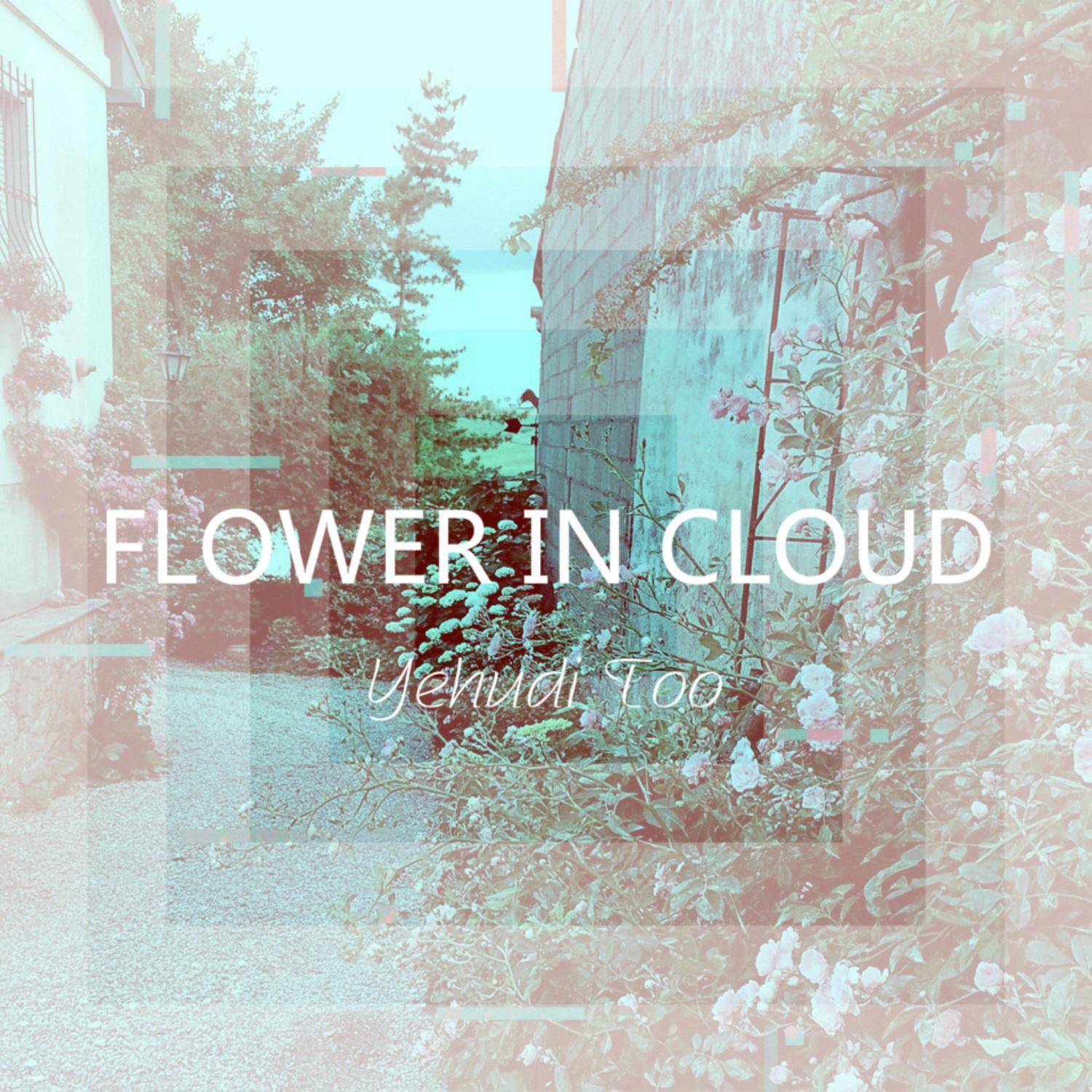 Flower in Cloud (Reissue)专辑