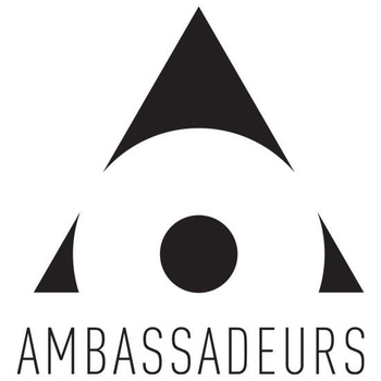 Not Again (Ambassadeurs Remix)专辑