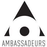 Not Again (Ambassadeurs Remix)