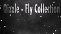 Fly Collection专辑
