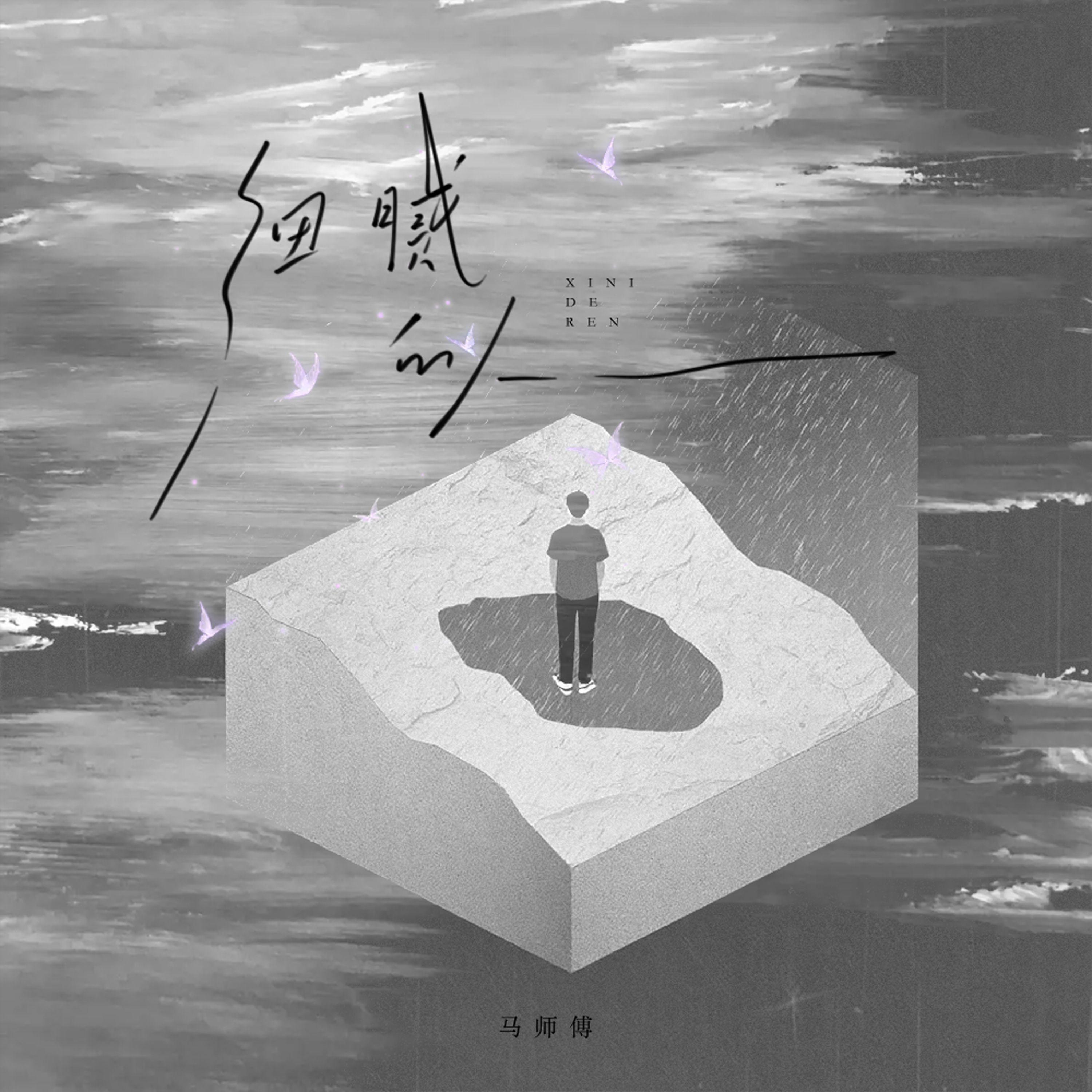 細膩的人 海報