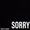 Voltz JT - Sorry