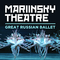 Mariinsky Theatre: Great Russian Ballet专辑