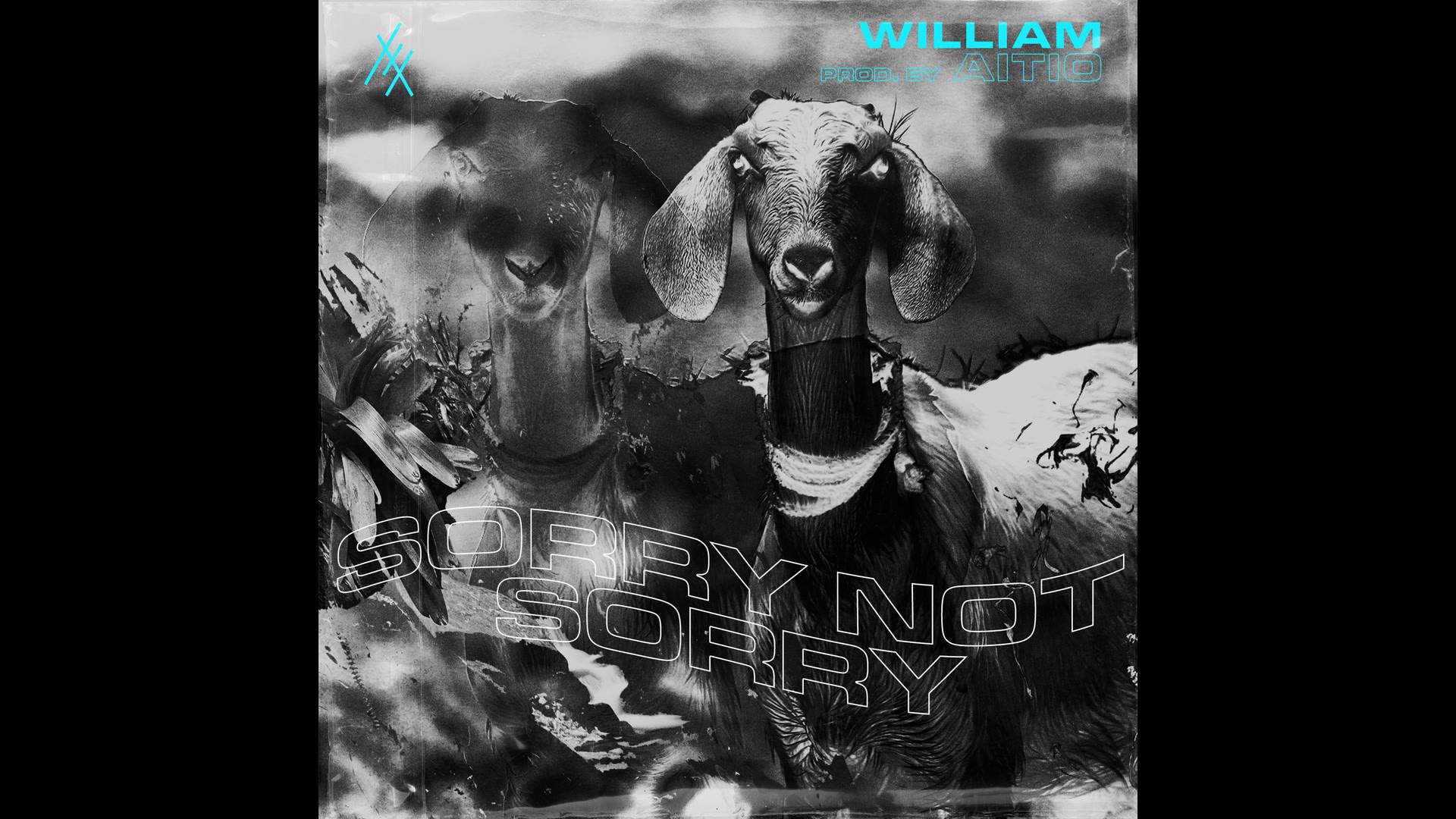 william - shawty (Audio)