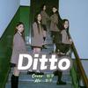 昕子Xinxi - Ditto（翻自 NewJeans）