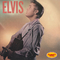 Elvis Presley: Rarity Music Pop, Vol. 149专辑