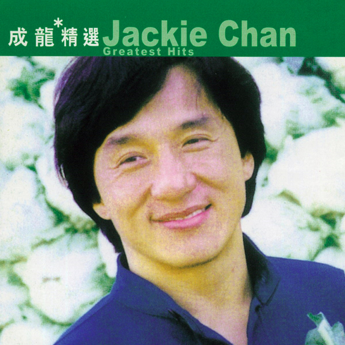 醉拳 海報