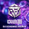 DJ小微Remix - Stay Finally!