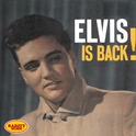 Elvis Is Back!: Rarity Music Pop, Vol. 173专辑