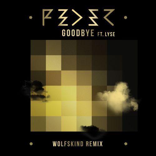 Goodbye[Wolfskind Remix]专辑