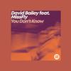 David Bailey - You Don't Know (Original Mix)