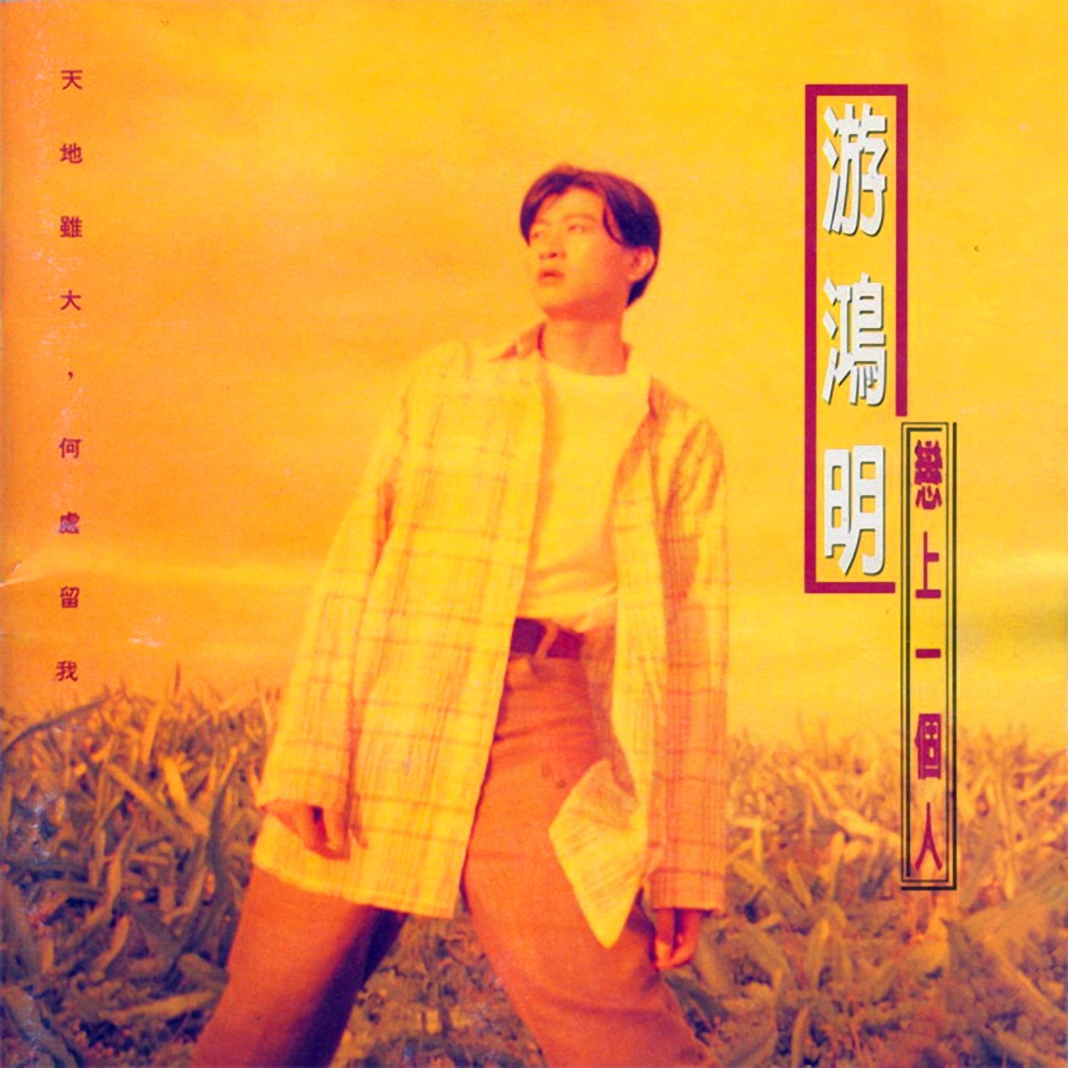 愛我的人和我愛的人 海報
