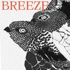 Frieder Nagel - Breeze (Luftzug Version)